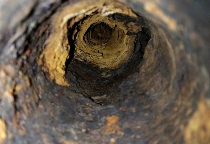 Clogged-Sewer-Pipe-Black-Diamond-WA