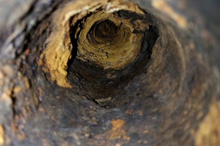 Repairing-Sewer-Lines-Auburn-WA