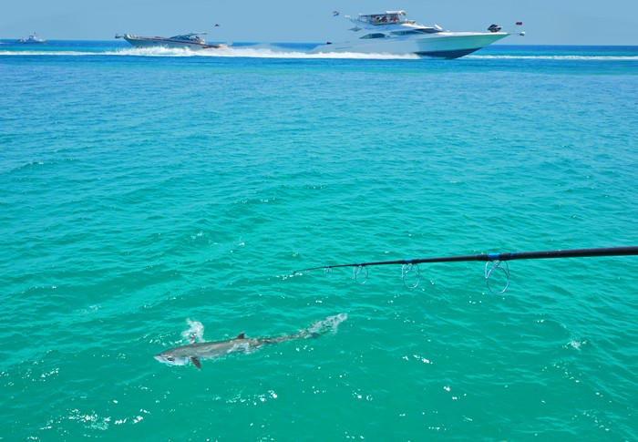 Florida-Fishing-Miami-FL