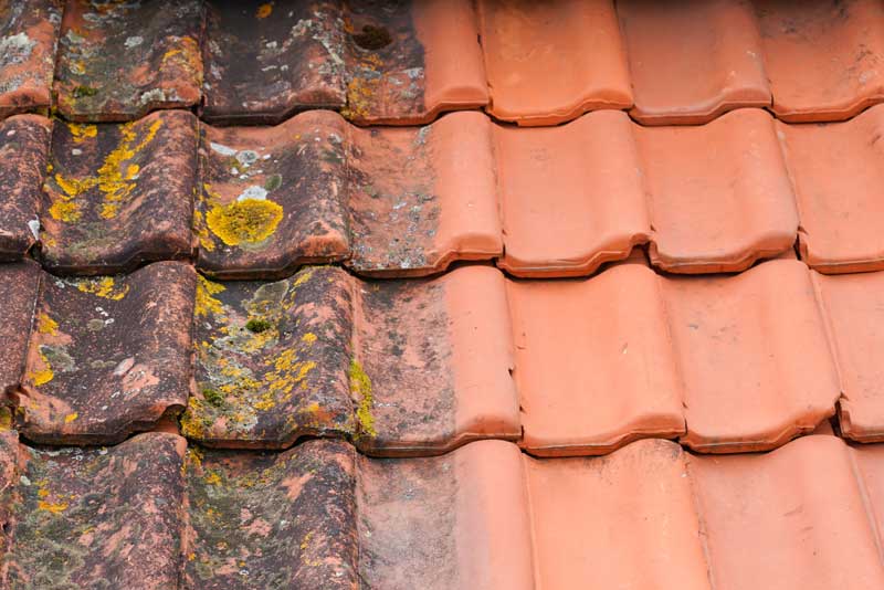 Roof-Cleaning-Puyallup-WA