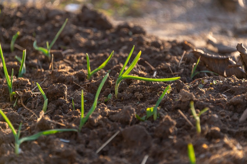 Topsoil-Companies-Granite-Falls-WA