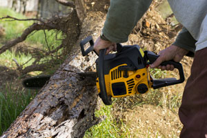 Tree-Removal-service-Puyallup-WA