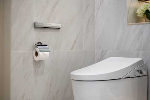 Bidet-Install-Ballard-WA