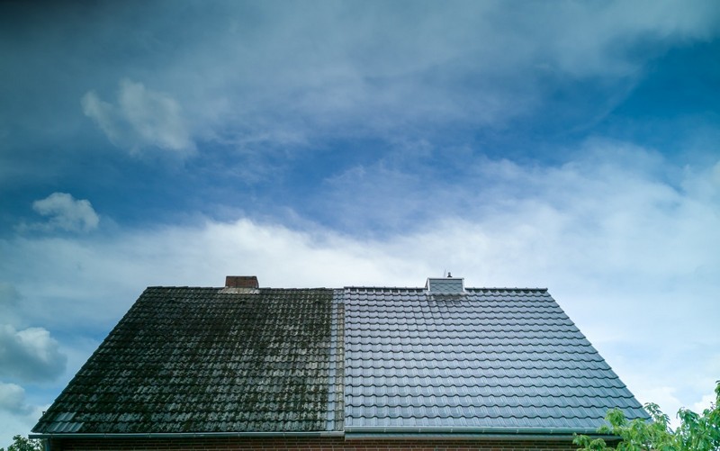 Killing-Roof-Moss-Silverdale-WA