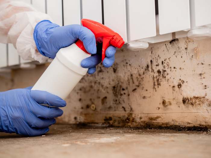 Mold-Inspection-Seattle-WA