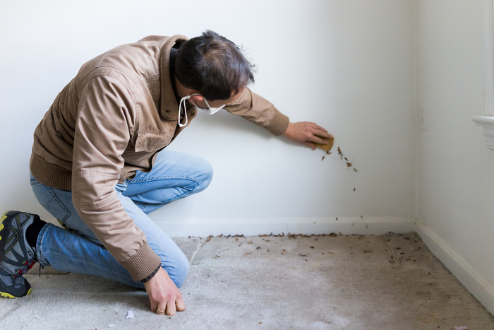 Mold-Inspection-Spanaway-WA