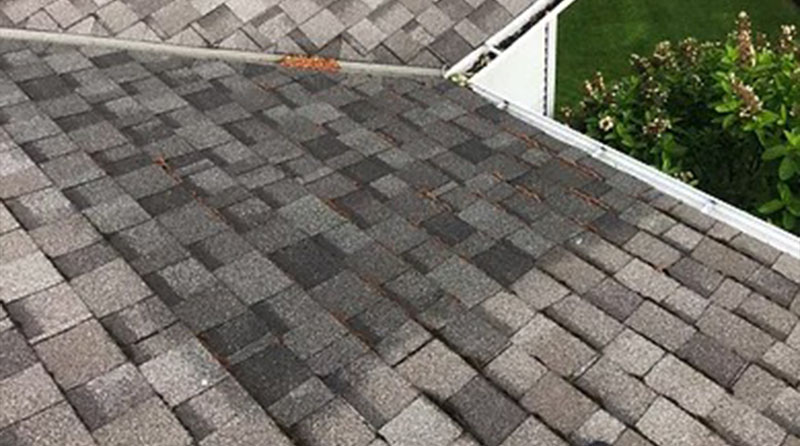 Roof-Restoration-Kitsap-County-WA