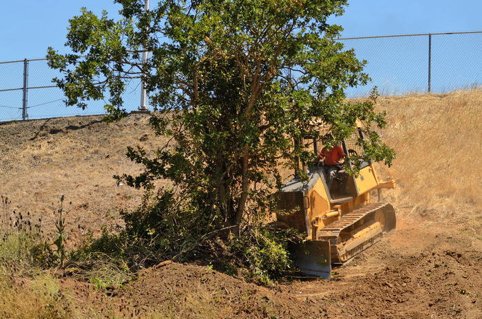 Land-Clearing-Chelan-WA