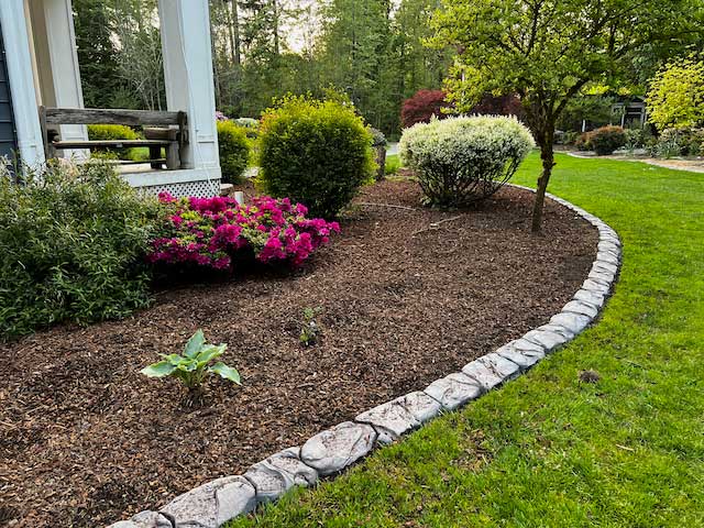 Garden-Beds-Olympia-WA