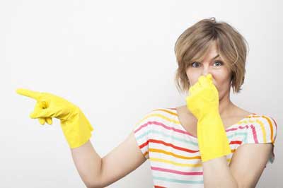 Everett odor removal Experts in WA near 98203