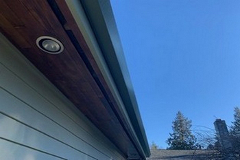 Expert Clyde Hill gutter maintenance in WA near 98004