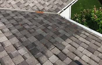 Best Bremerton roof service in WA near 98312