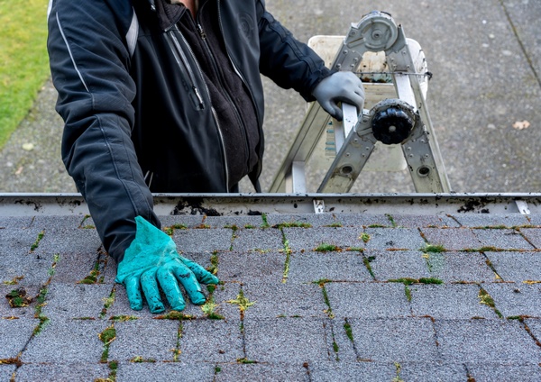 Low-cost Port Orchard roof cleaning in WA near 98367