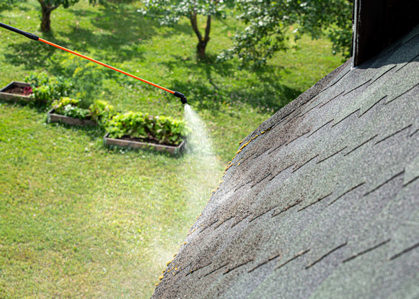 Best Tacoma roof cleaning in WA near 98404