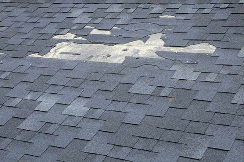 Professional Bremerton roof maintenance in WA near 98312