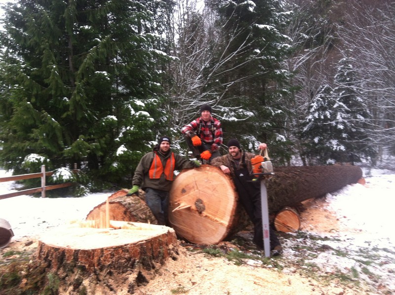Enumclaw Tree Removal Services