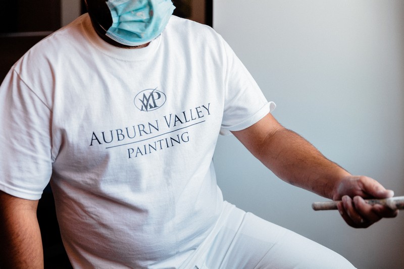 Auburn Painter