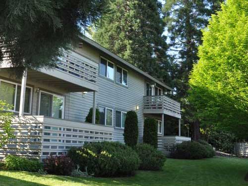 Bellevue Landscaping Services