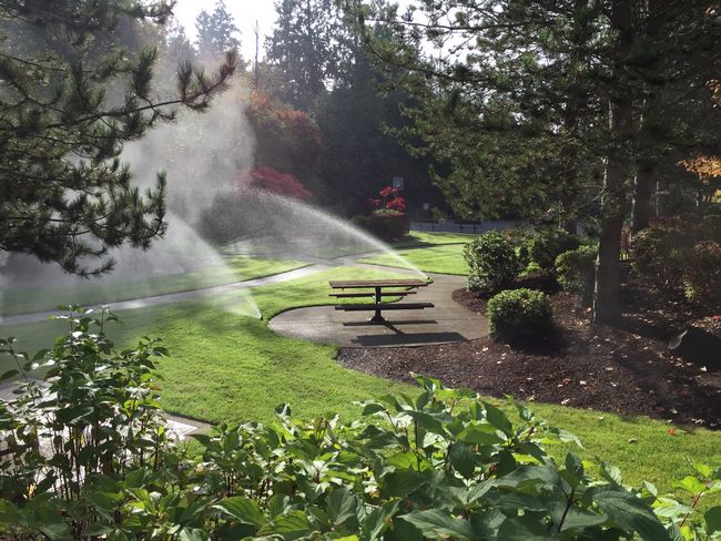 Bellevue Landscaping