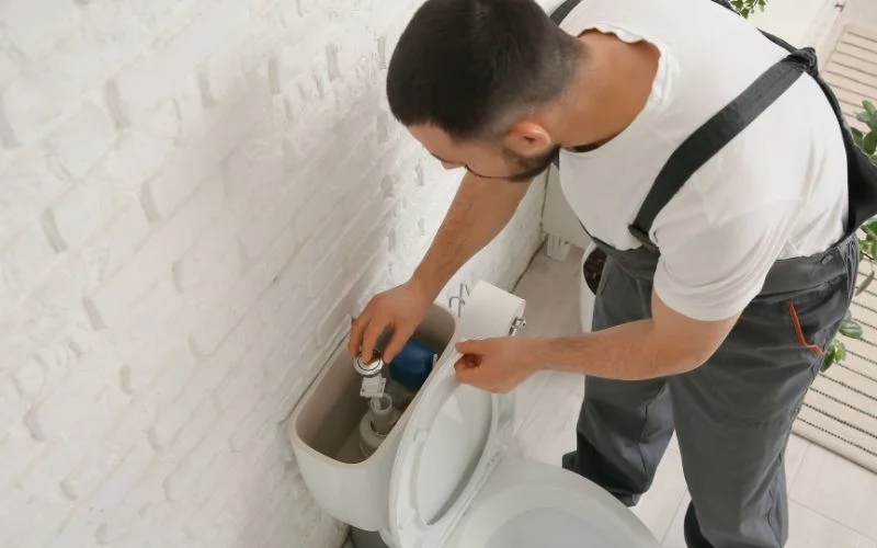 Maple Valley Toilet Repair Services