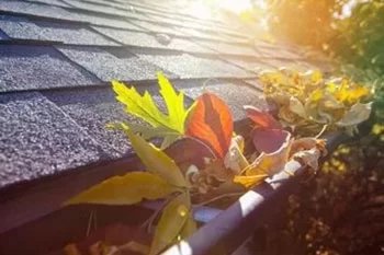 Redmond Gutter Repair Services