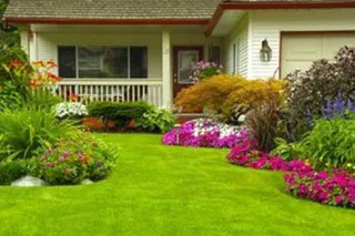 Black Diamond Landscaping