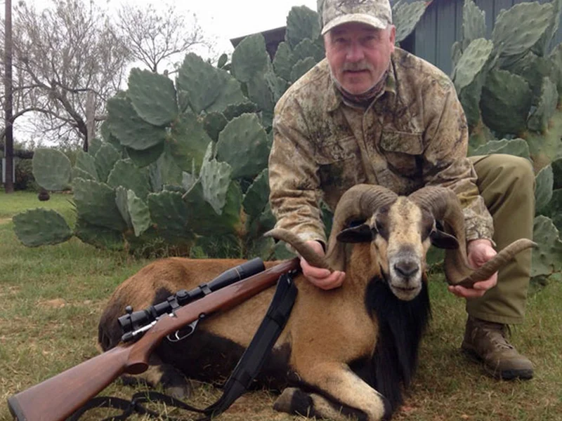 Guided Hunting South Texas