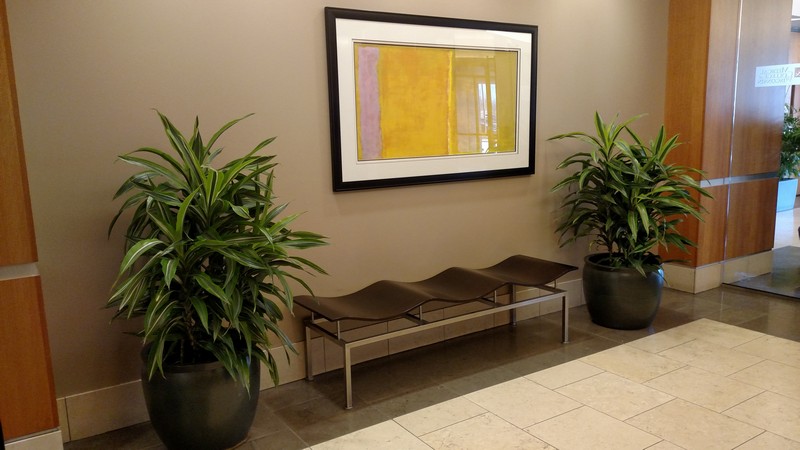 Interior Plant Services Milwaukee