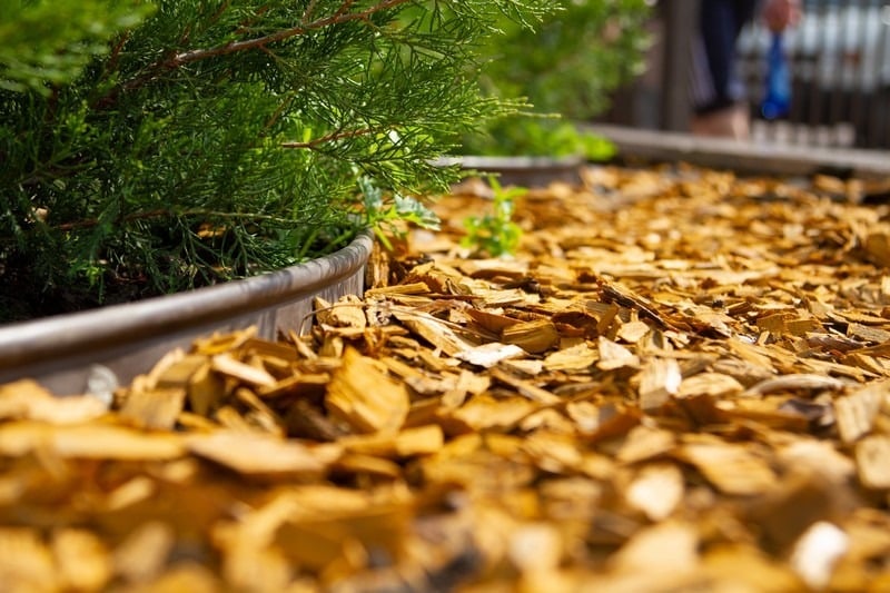 Landscaping Auburn